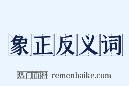 象正反义词是什么意思的图片